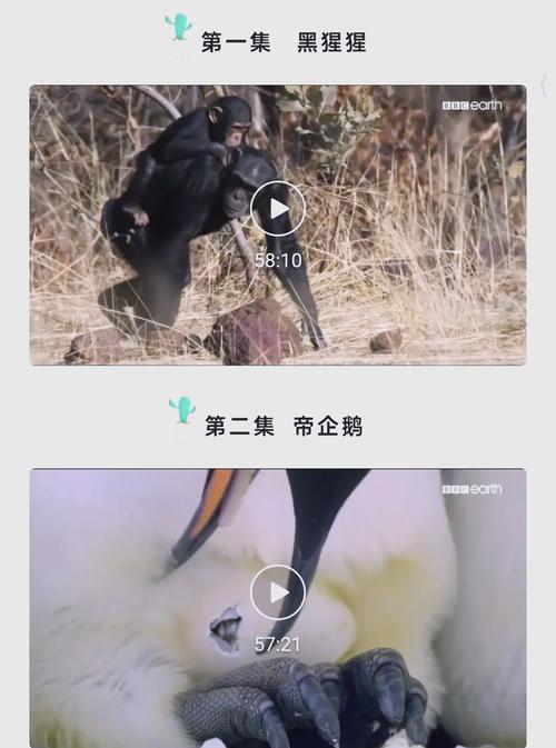宅男影院在线观看：2025最新高清资源免费追剧，宅家必备的动漫与电影天堂