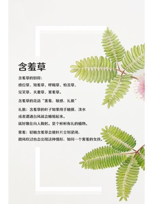 天影影院在线观看 - 最新热播电影电视剧免费追剧平台，高清无广告畅享视听体验