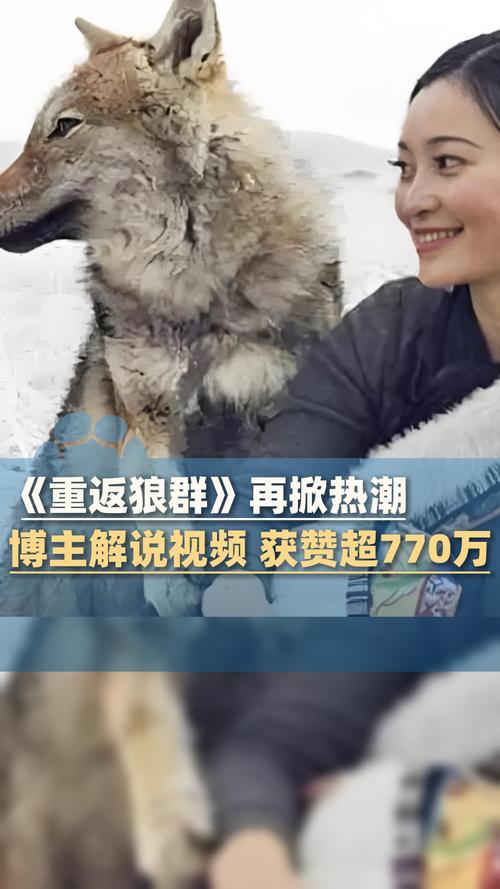 日本进口按摩精油推荐 | 天然植物配方舒缓疲劳 | 深层渗透保湿护肤