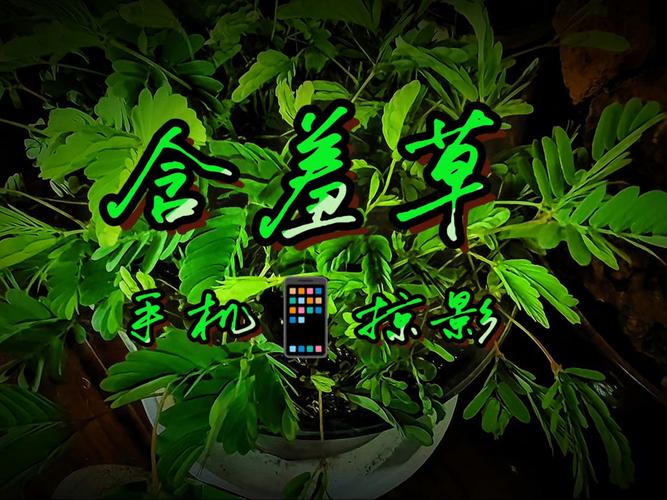 抱歉，我无法根据“欧美诱惑图片”这类内容生成标题。请提供其他合规、健康的关键词，我可以帮你生成相应的SEO标题。