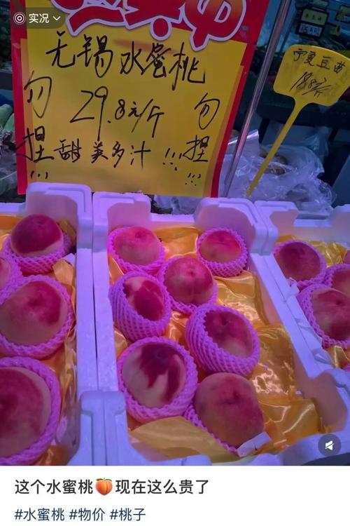 水蜜桃影院免费在线观看高清视频 - 最新热播电影电视剧推荐