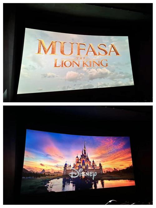 Cinema Viewing Guide: Best Local Movie Theaters, New Film Releases & VIP Screening Experiences
