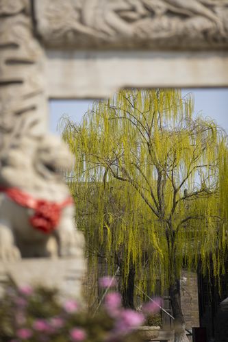 爱吧影院在线观看_最新热播电影电视剧免费追剧_高清无广告影视推荐