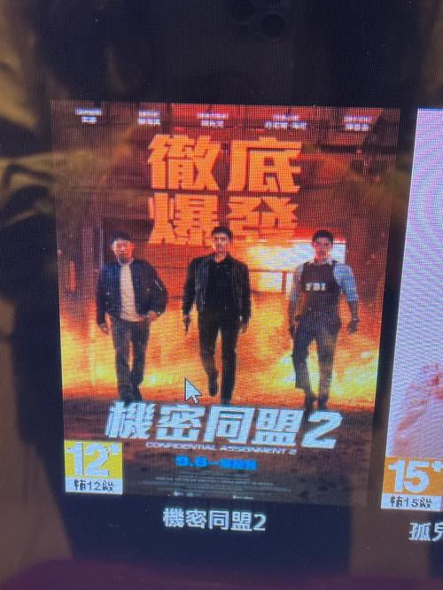东流影院限制分级解读:成人内容审核标准与观影年龄限制指南 - 东流影院