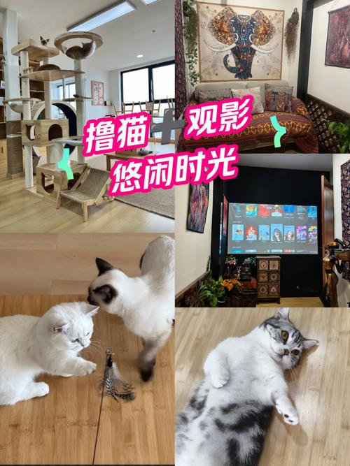 开私人影院前必读：投资预算、设备清单与盈利模式全解析