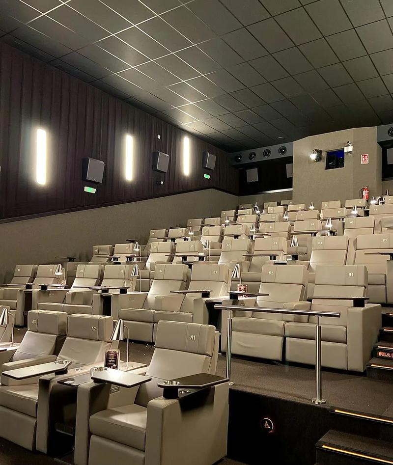 《2025最新影院热映电影推荐：高分新片观影指南（附排片/票价/影评攻略）》
