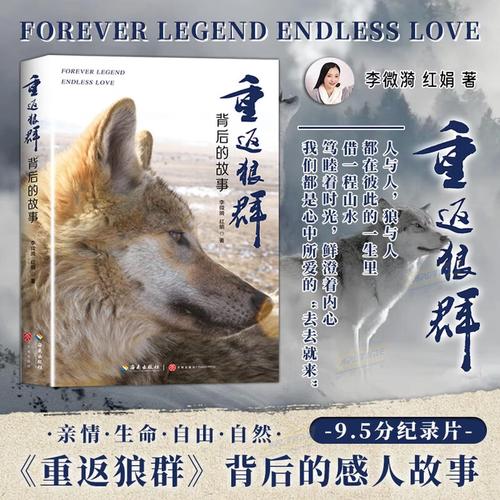 10排电影院最佳位置怎么选？黄金座位观感与长尾关键词优化指南