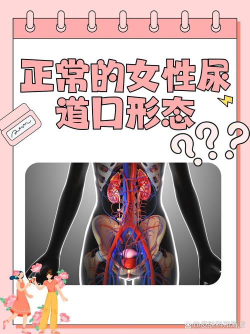 神马影院午夜的相关介绍
